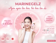 QC Marinegelz FB-01.jpg