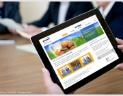 Website-03.jpg