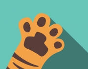 13232985_501625559962266_3299684453913144608_n.png