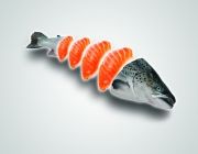 POSTER SUSHI 2.jpg