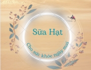 Logo sua hat.png