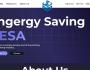 Screenshot 2025-03-01 093240 (Custom).png