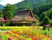 anh-dep-ve-thien-nhien-dep-long-lay.jpg