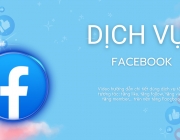 Dv Facebook.png