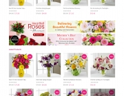 Flower Show.png