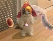 zoe arcanist.png