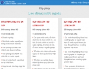 dvc.vieclamvietnam.gov.vn_(iPhone 6_7_8).png