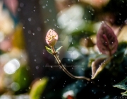_____by_showhide8x-dcr1qqn.jpg
