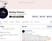 fb shop hoa.png