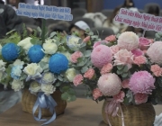 IMG_4547.jpeg