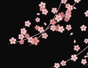 COVER5.png