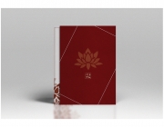 Thinh Tran Portfolio 201840.png