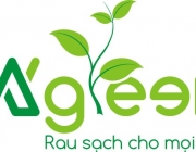 logo MKGreen.jpg