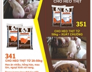 brochure-rico-02.jpg