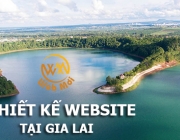 thiet-ke-website-tai-gia-lai.png