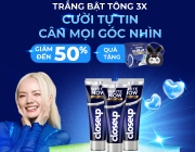 stock trai tim xanh .png
