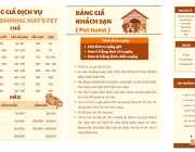 Untitled design (4).png