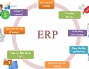 Phần-mềm-Quản-l&yacute;-Nh&acirc;n-sự-ERP-Việt-Nam.png