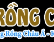 logo-top.png