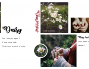 LAYOUT2.png