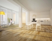 1 livingroom switzerland.jpg