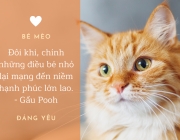 Thiết kế chưa c&oacute; t&ecirc;n.png
