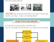 infographic-01.jpg
