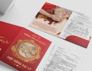 folder mockup copy.jpg