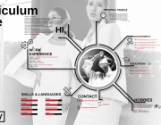 CV Do Phuong Thuy.jpg