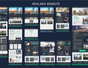 Website RealNEX.png