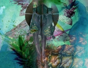 image.jpeg