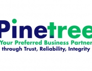 pinetree.jpg