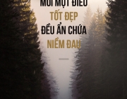 01-1bd7e.jpg