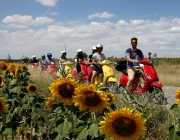spain vespa.jpeg