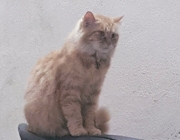 20170305_202033.jpg