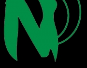 LOGO 300.png