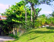 advright_s449.jpg