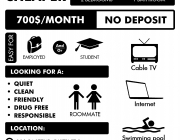 flyer.png