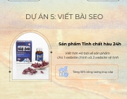 Viết b&agrave;i SEO.png