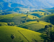 mountains-5112952_1280.jpg