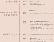 M&agrave;u kem Hiện đại Đồ họa Th&ocirc;ng tin Sơ yếu l&yacute; lịch.png