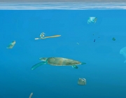 Ocean's polution 2.jpg