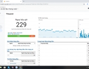 seo.png