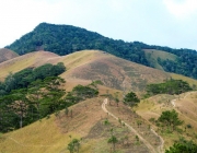 7-du-lich-ta-nang-lam-dong-mytour-1.jpg