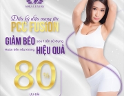 PPC FUSION promotion.png