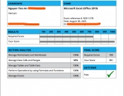 MOS Excel .png