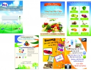 tờ rơi, catalogue.jpg