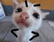 meodoi2.jpg
