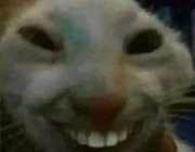 322866888_490185943200660_9126577922018240313_n.jpg