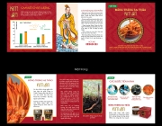 KimAn-Profile-05.jpg